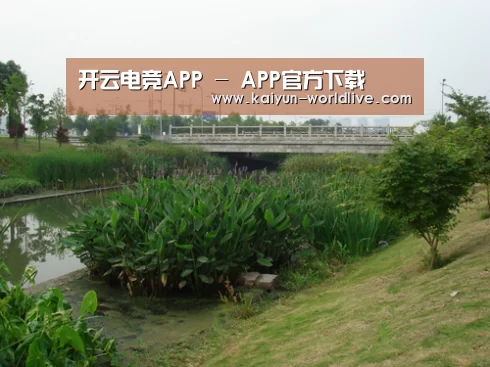 案例展示四(图1)