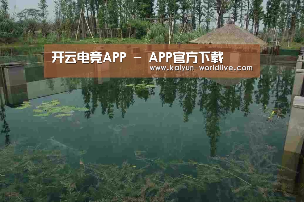 案例展示二
