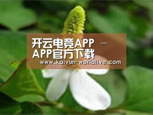 产品名称三