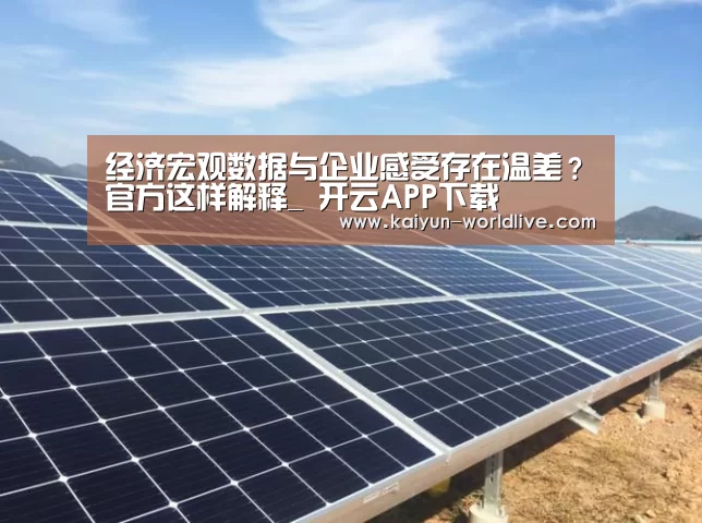 开云电竞APP