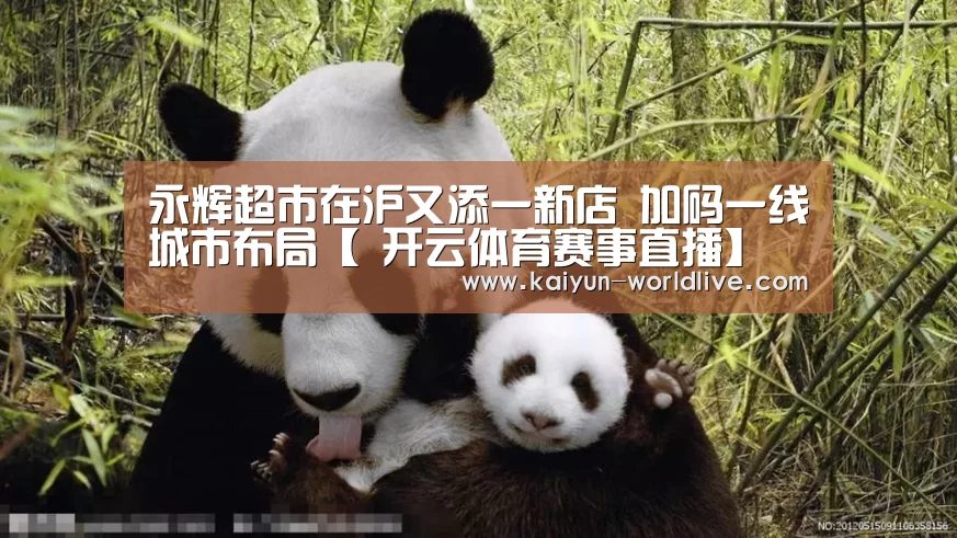 永辉超市在沪又添一新店 加码一线城市布局【 开云体育赛事直播】(图1) 开云在线娱乐