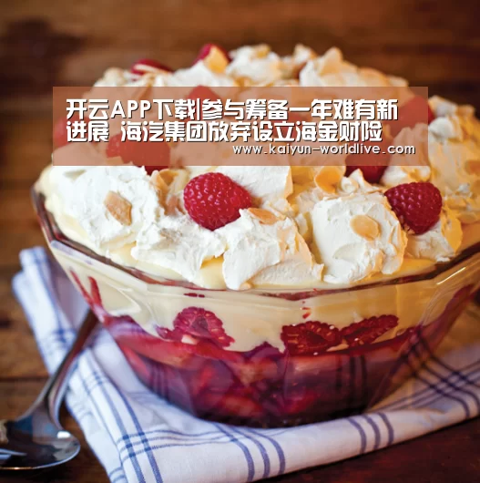 开云APP下载|参与筹备一年难有新进展 海汽集团放弃设立海金财险(图3) 开云在线娱乐