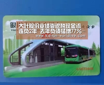 开云电竞APP