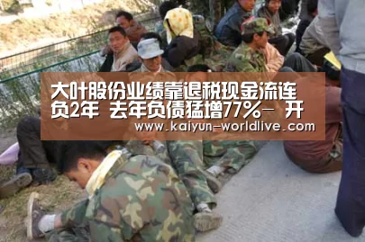  开云APP下载