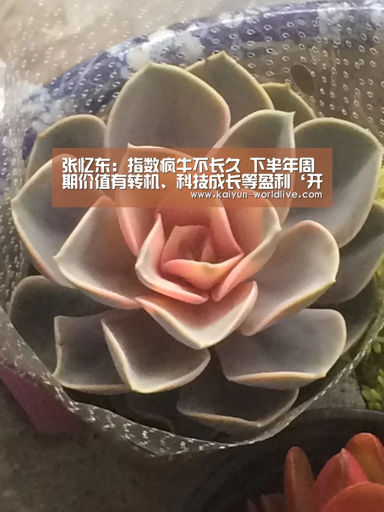 开云电竞APP