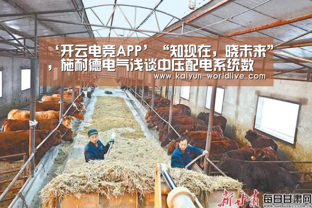  开云在线娱乐