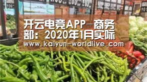  开云体育赛事直播