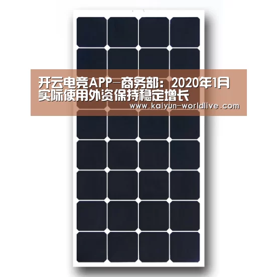  开云APP下载