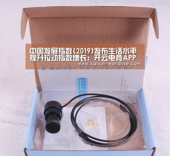 开云电竞APP