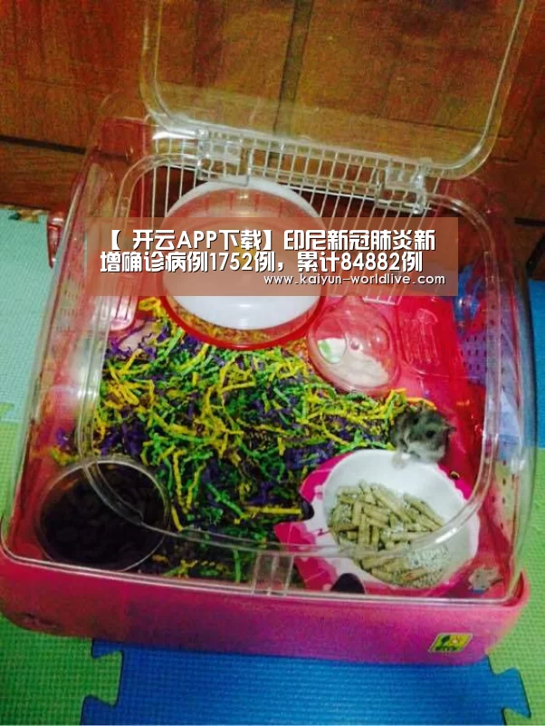  开云体育赛事直播