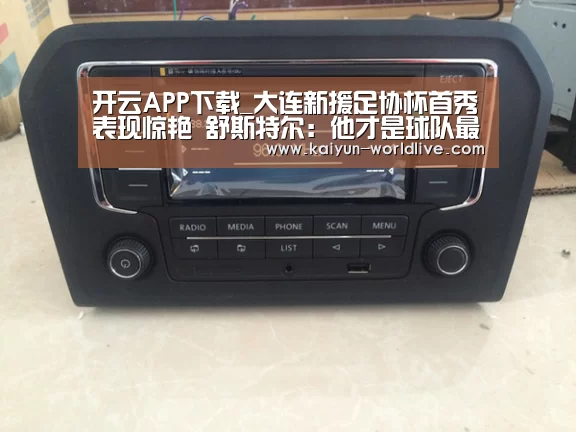开云APP下载_大连新援足协杯首秀表现惊艳 舒斯特尔:他才是球队最急需的强援(图3) 开云电竞APP